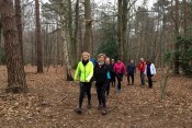Walking and Jogging available at Thorndon Country Park Essex